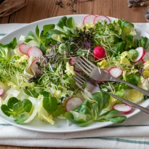 A vibrant salad featuring an assortment of microgreens, lettuce, and sliced radishes, beautifully arranged on a white plate with forks resting on the side.