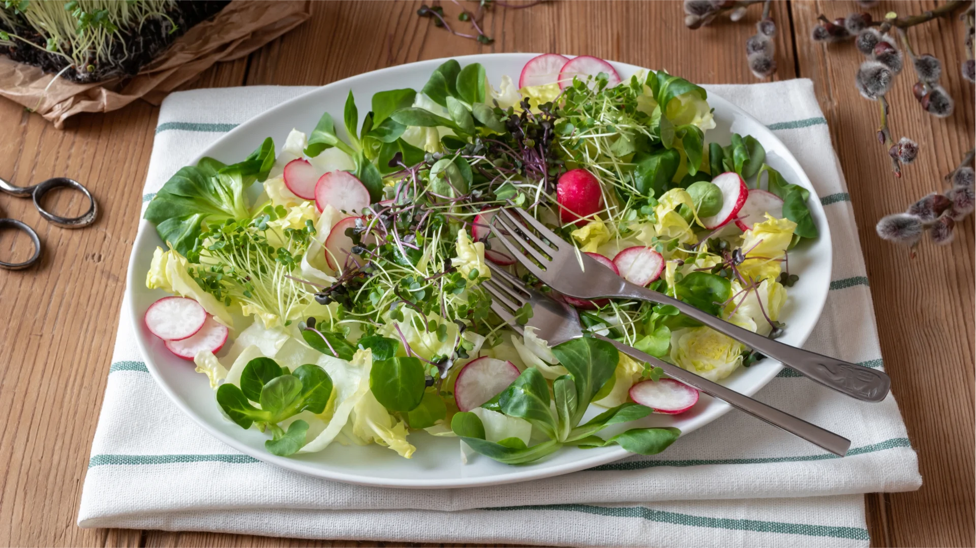 A vibrant salad featuring an assortment of microgreens, lettuce, and sliced radishes, beautifully arranged on a white plate with forks resting on the side.